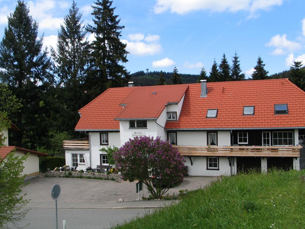 Pension Tannenheim Schluchsee Dış mekan fotoğraf