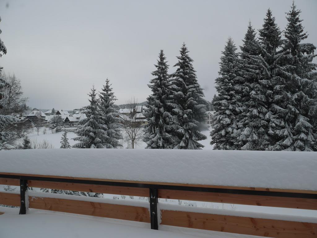 Pension Tannenheim Schluchsee Dış mekan fotoğraf