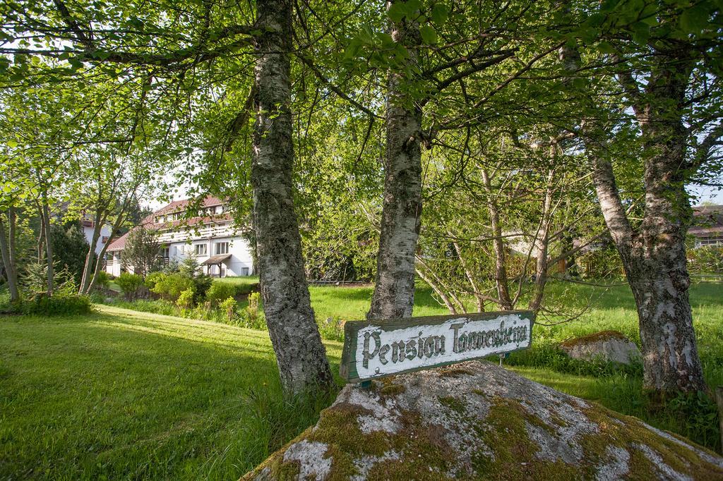 Pension Tannenheim Schluchsee Dış mekan fotoğraf