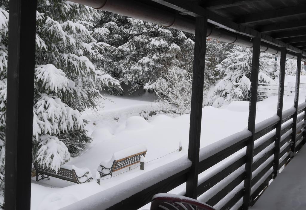 Pension Tannenheim Schluchsee Dış mekan fotoğraf