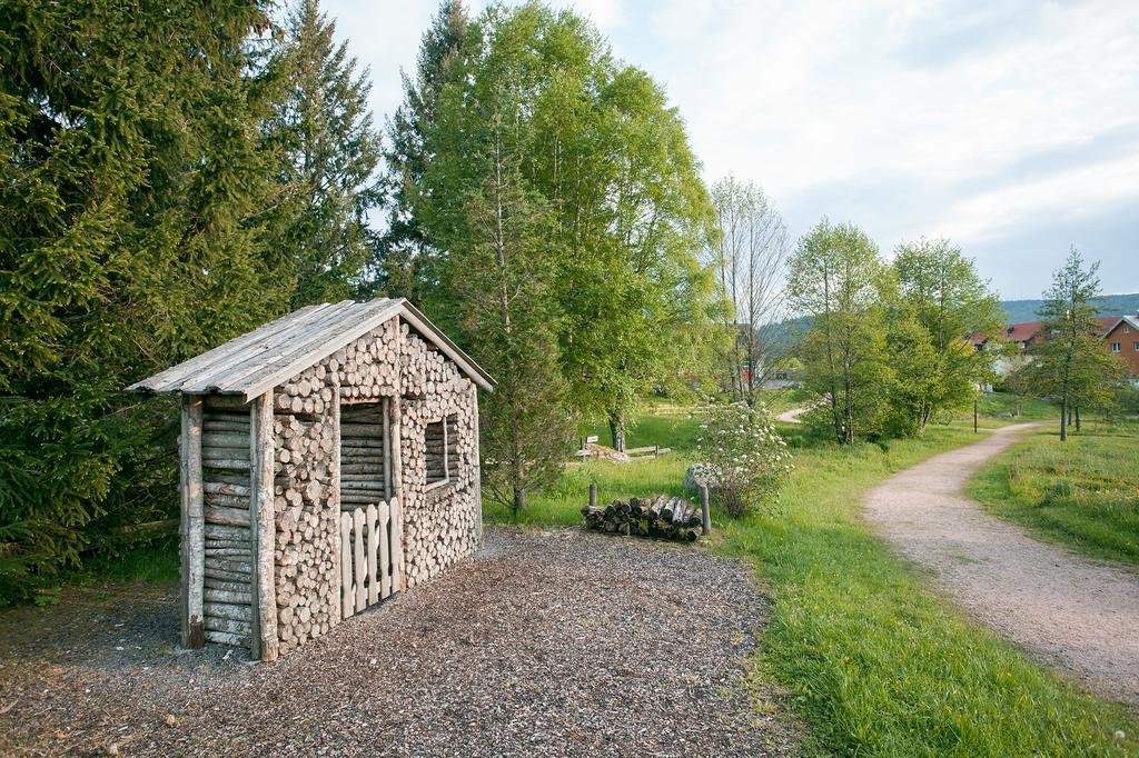 Pension Tannenheim Schluchsee Dış mekan fotoğraf