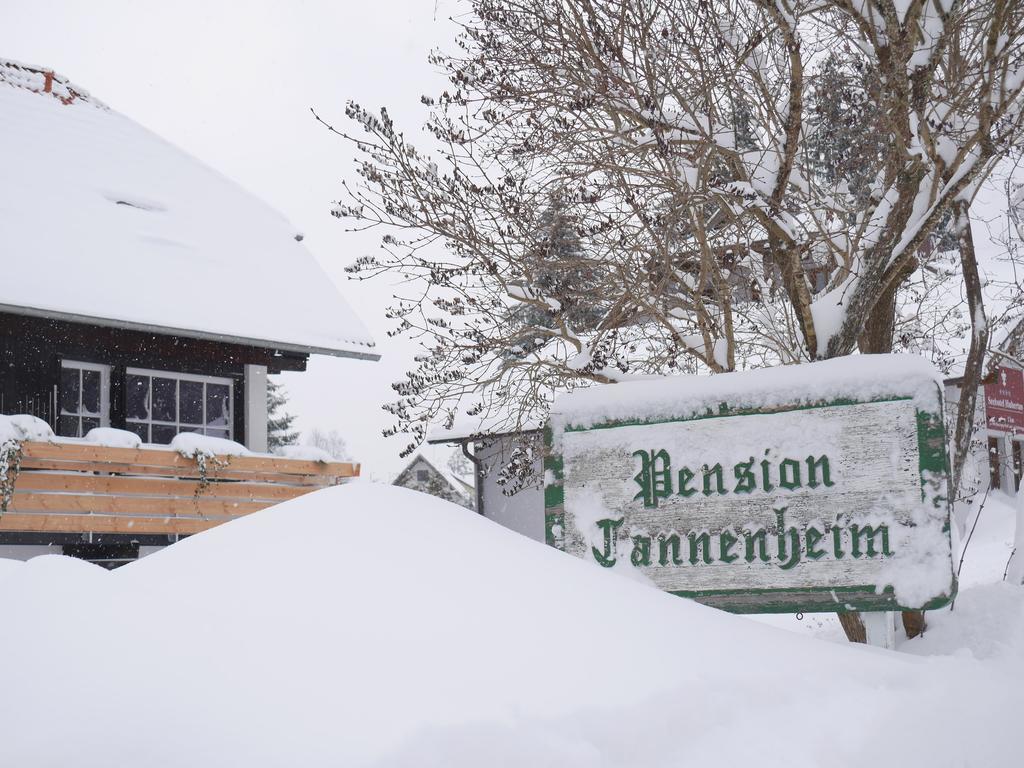 Pension Tannenheim Schluchsee Dış mekan fotoğraf