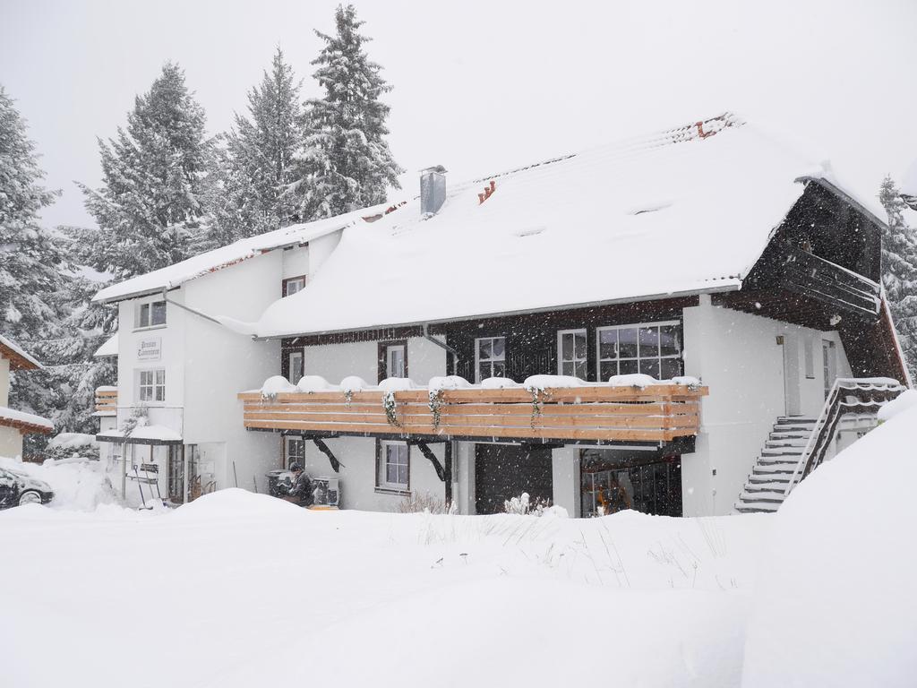 Pension Tannenheim Schluchsee Dış mekan fotoğraf