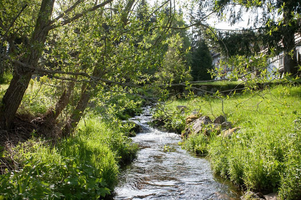Pension Tannenheim Schluchsee Dış mekan fotoğraf